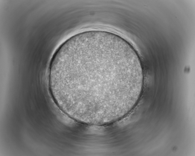 X0000098171514200805221504