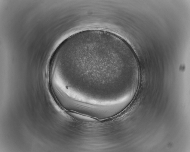 X0000098171515200805221504