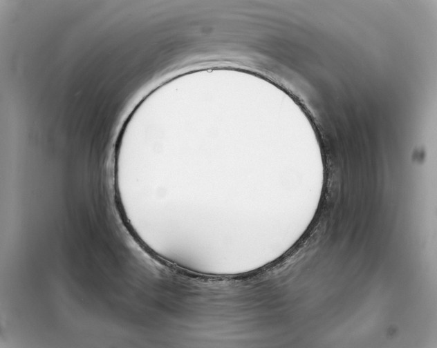 X0000098171516200805221504