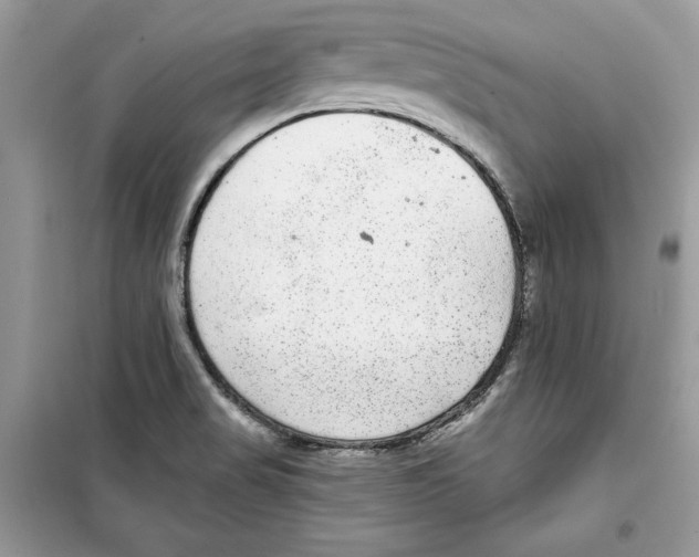 X0000098171517200805221504