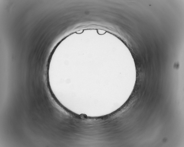 X0000098171518200805221504