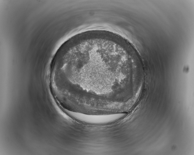 X0000098171519200805221504