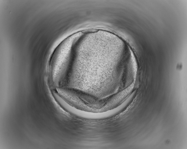 X0000098171520200805221504