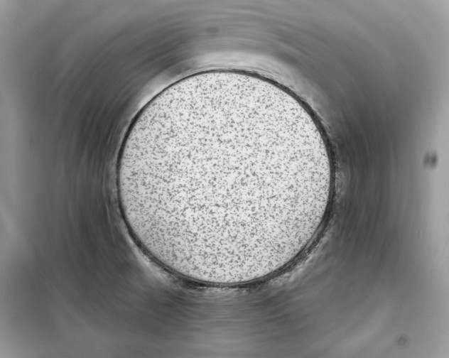 X0000098171521200805221504