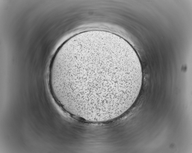 X0000098171523200805221504