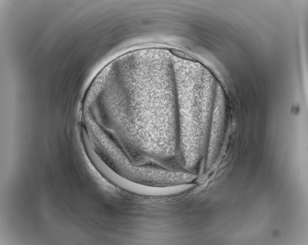 X0000098171524200805221504