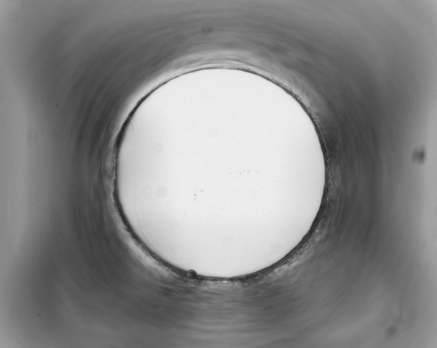 X0000098171526200805221504