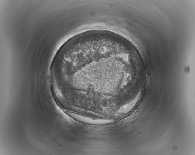 X0000098171527200805221504