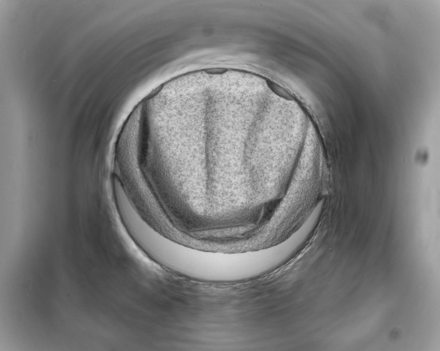 X0000098171528200805221504