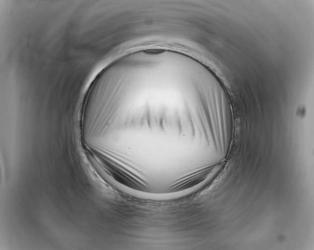 X0000098171530200805221504