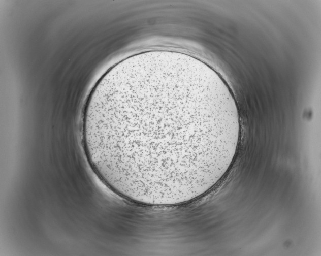 X0000098171531200805221504