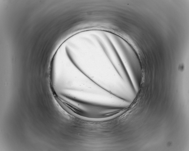 X0000098171532200805221504