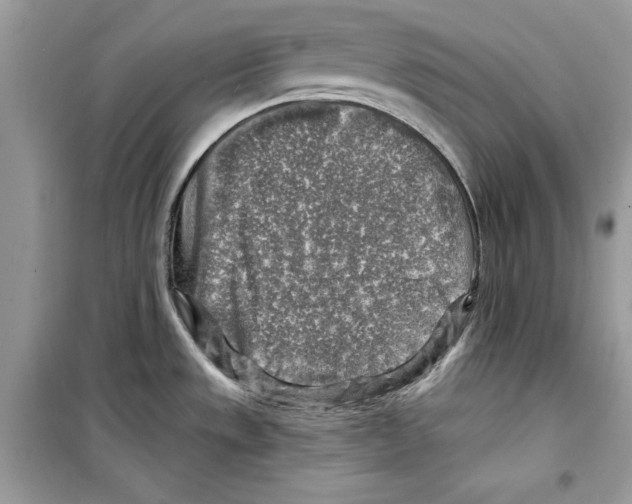 X0000098171533200805221504