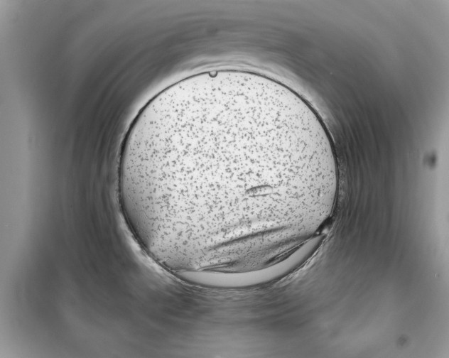 X0000098171534200805221504