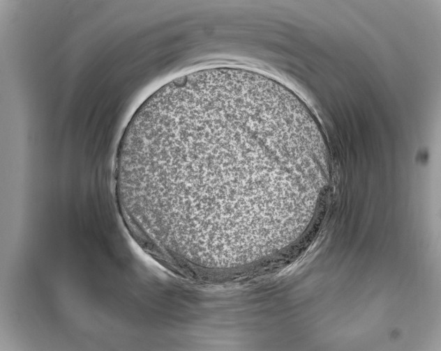 X0000098171535200805221504