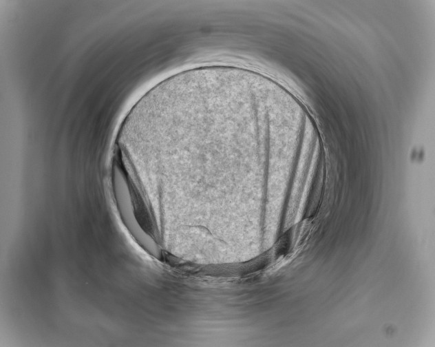 X0000098171536200805221504