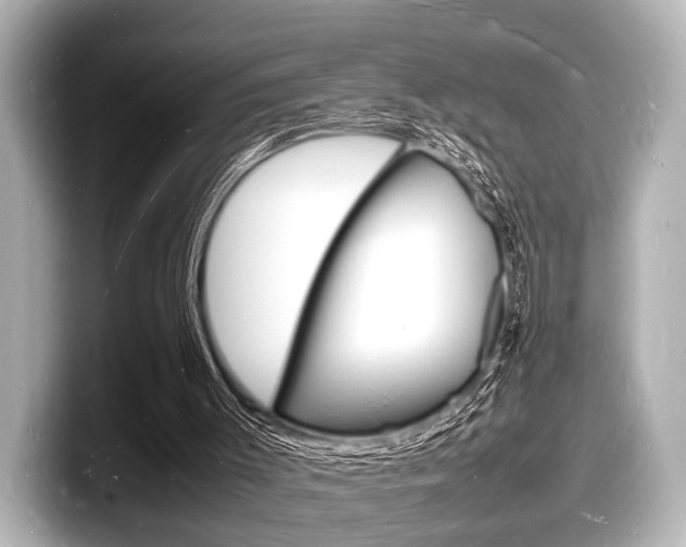 X0000098180003200804241040