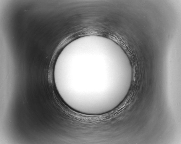 X0000098180004200804241040