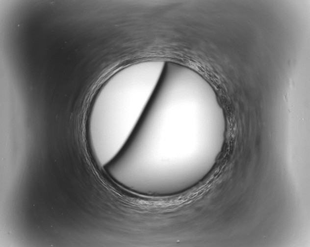 X0000098180005200804241040