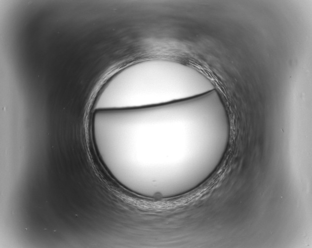 X0000098180006200804241040