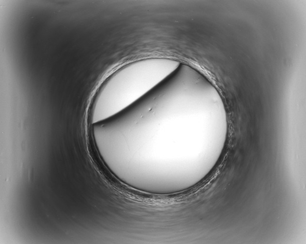 X0000098180008200804241040