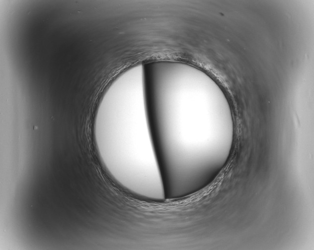 X0000098180009200804241040