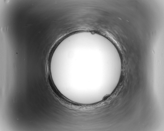 X0000098180011200804241040