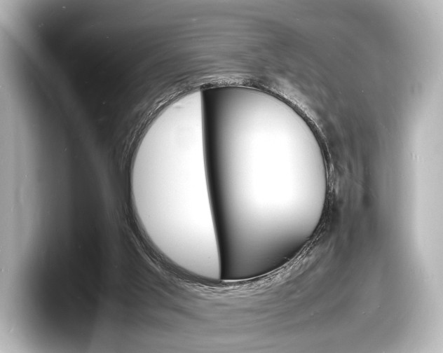 X0000098180013200804241040