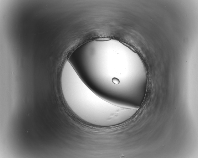 X0000098180019200804241040