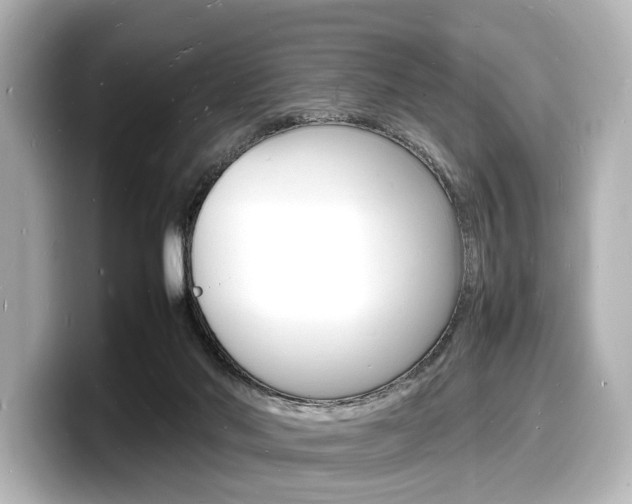 X0000098180022200804241039