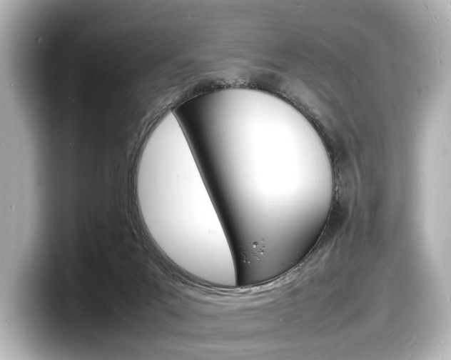 X0000098180023200804241039
