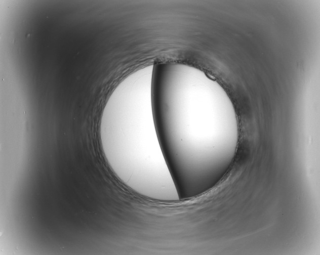 X0000098180029200804241039