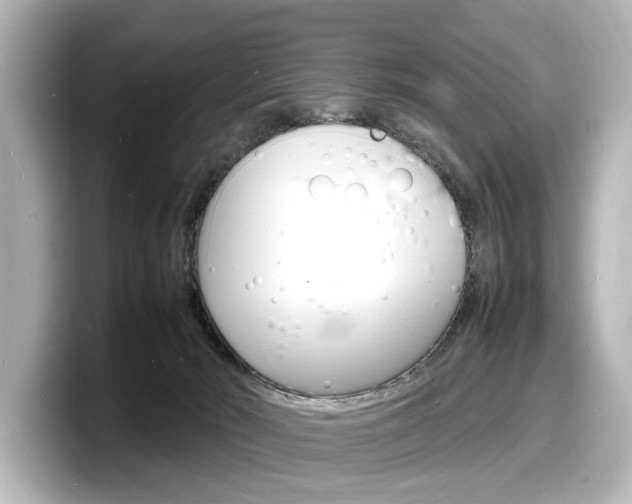 X0000098180030200804241039