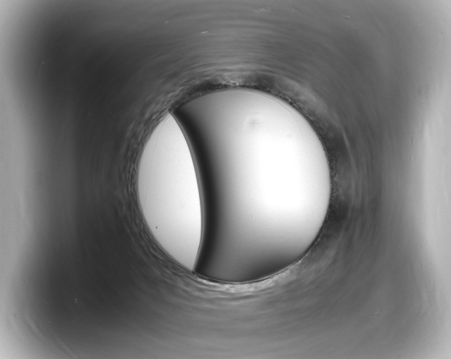 X0000098180031200804241039