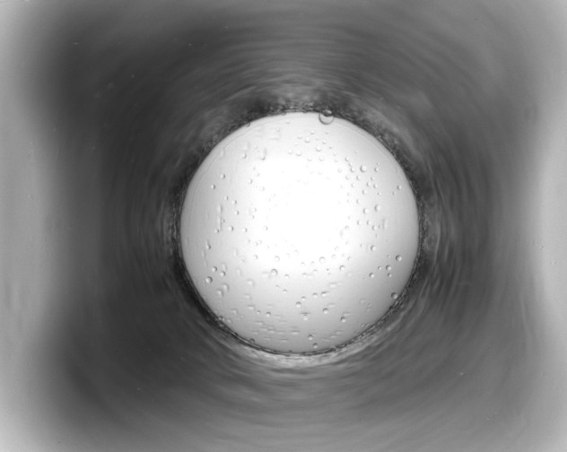X0000098180034200804241039