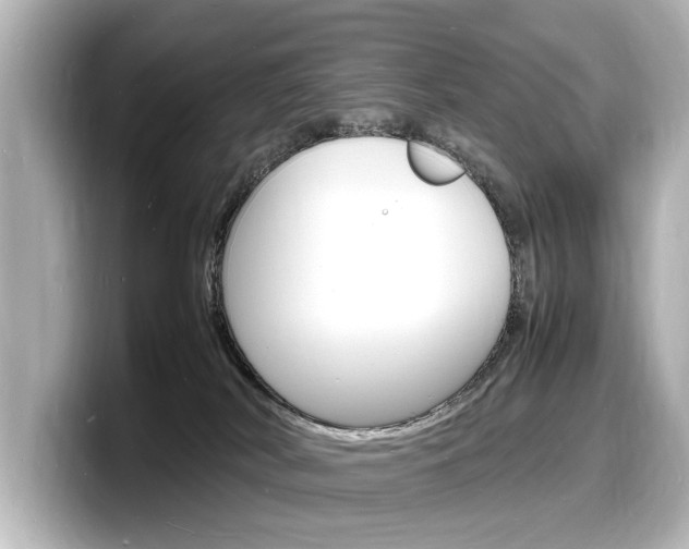X0000098180038200804241039