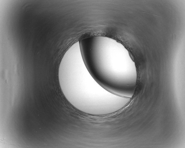 X0000098180041200804241039
