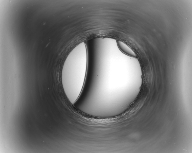 X0000098180044200804241039