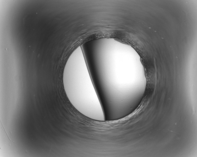 X0000098180045200804241039