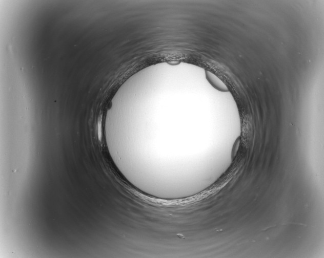 X0000098180046200804241039