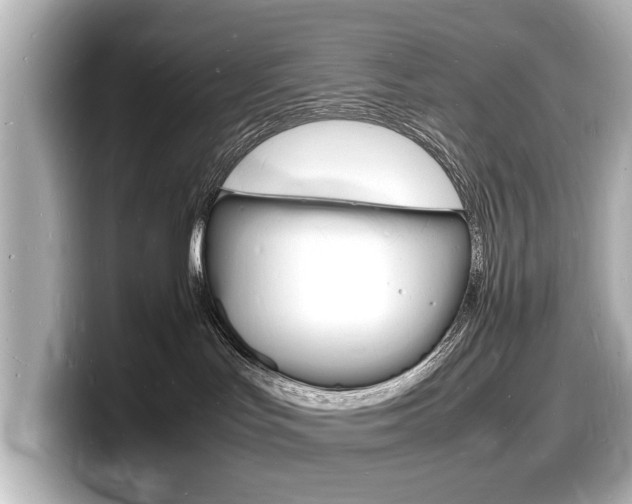 X0000098180047200804241039
