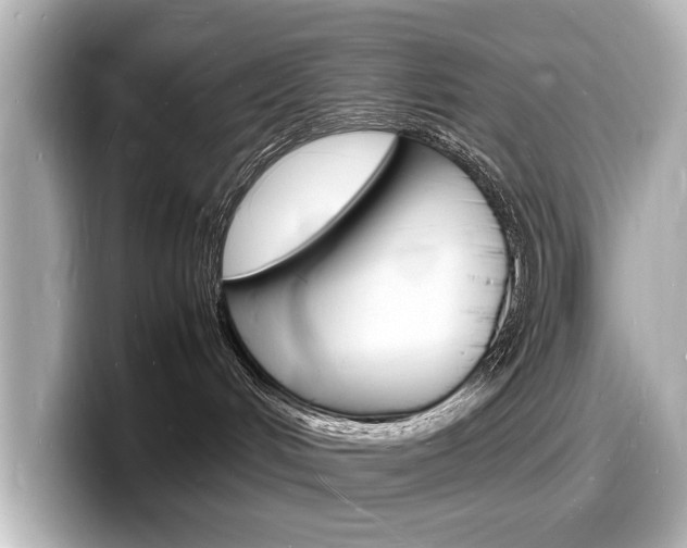 X0000098180048200804241039