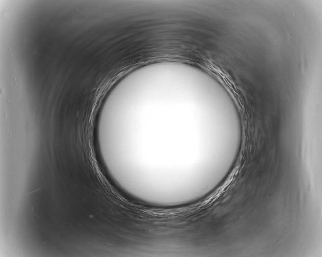 X0000098180049200804241038