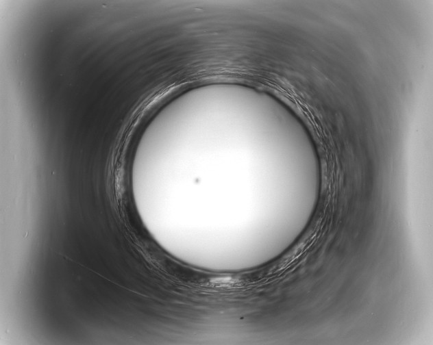 X0000098180050200804241038