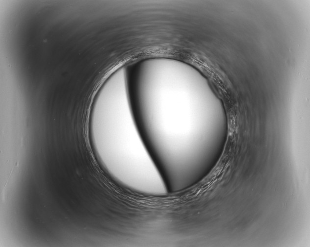 X0000098180052200804241039