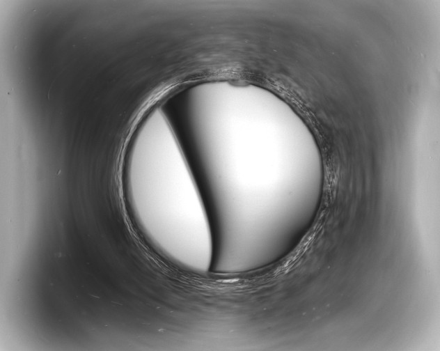 X0000098180054200804241039