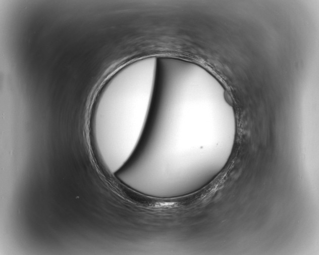 X0000098180055200804241039