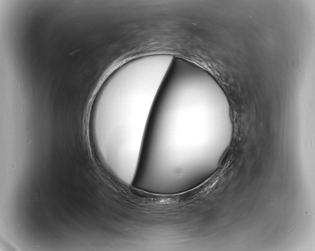 X0000098180056200804241039