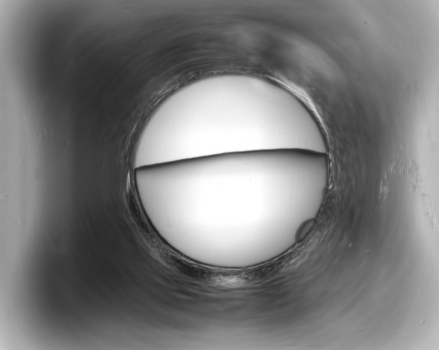 X0000098180061200804241039