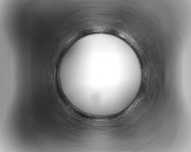 X0000098180066200804241039